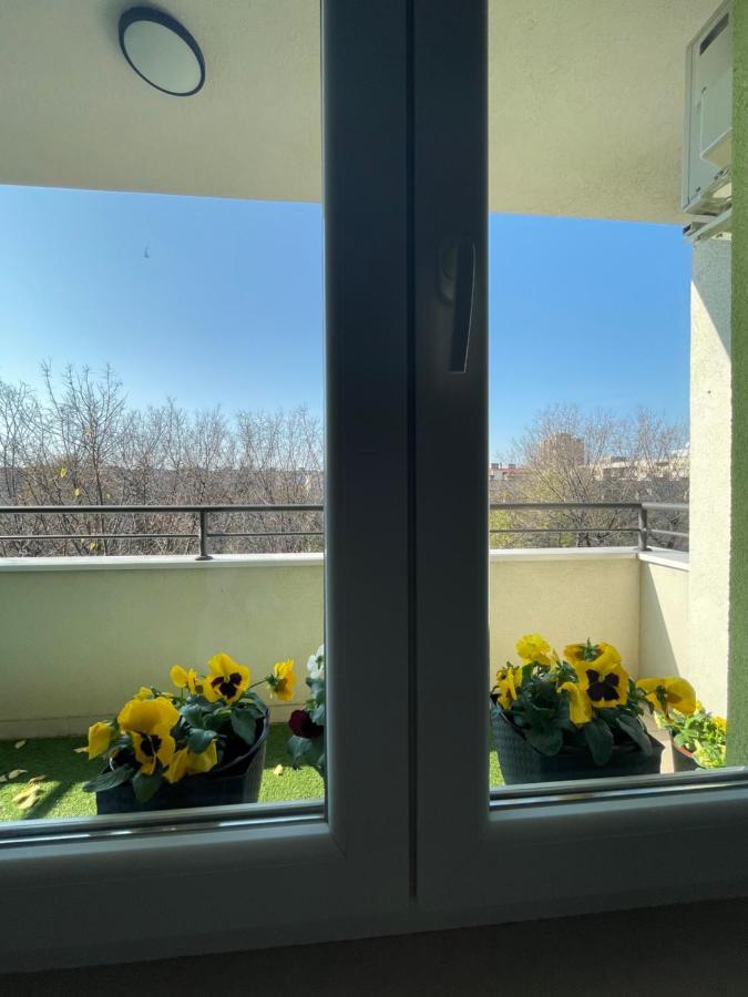 Sunny Studio Appartement Novi Sad Buitenkant foto